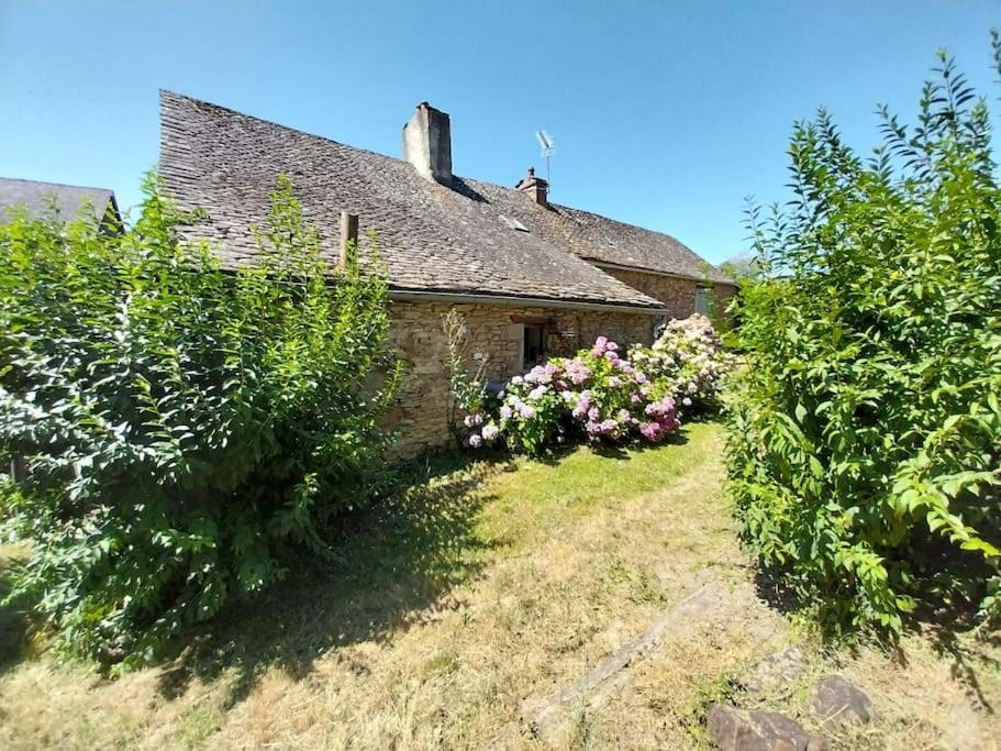 Maison En Pierres Pradinas Extérieur photo